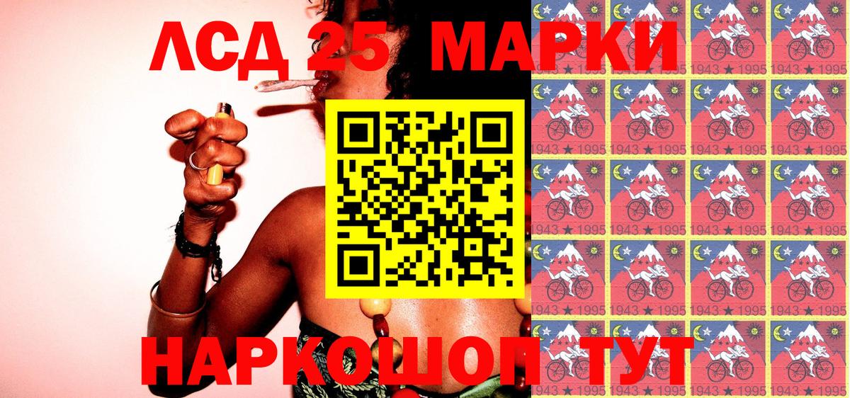 Новозыбков  Наркотические марки  Наркотические марки 1500мкг  Вход с VPN  где продают   Наркотические марки 1500мкг 